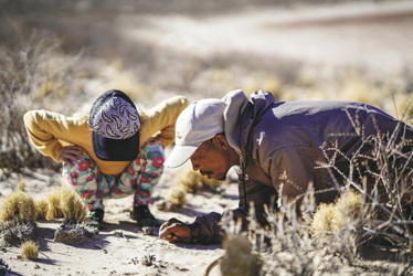Den kleinen Tieren auf der Spur