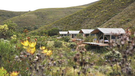 Tented Eco Camp