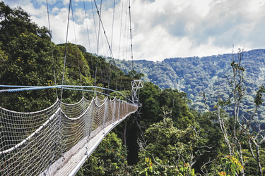 Im Nyungwe Nationalpark, ©Tetyana Dotsenko