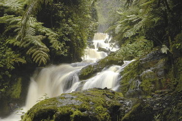 Wasserfall im Regenwald