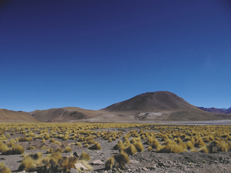 im Altiplano