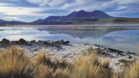 Laguna Hedionda, ©K-H. Milter