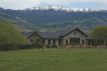 explora Patagonia National Park , ©explora Lodge Patagonia National Park
