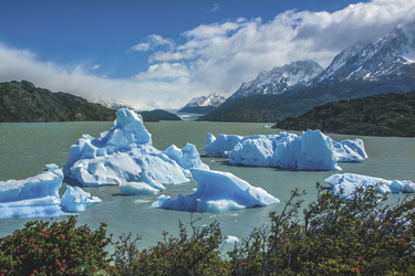 Eisberge im Lago Grey - Nationalpark Torres del Paine