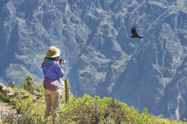Colca Canyon