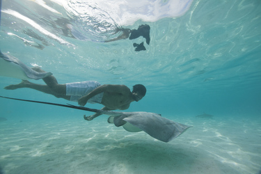 Schwimmen mit Rochen ©Tahiti-Tourisme