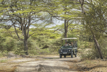 Auf der Pirsch im Nyerere NP, ©Selous Safari Company