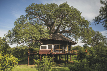 ©Elewana Tarangire Treetops, Tansania by Silverless