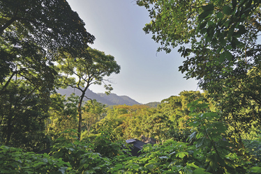 Blick von der Buhoma Lodge in den Nationalpark, ©PETERHOGEL.COM
