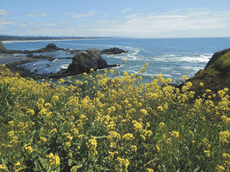 Frühling an der Küste von Oregon  -  ©TravelDreamWest, ©TravelDreamWest