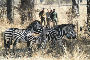 ©Robin Pope Safaris