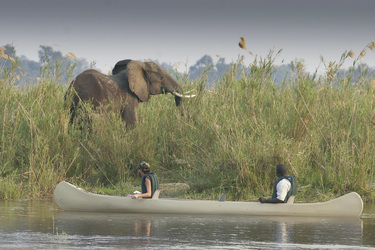 Lower Zambezi Nationalpark, ©David_Rogers