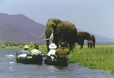 Mit dem Kanu unterwegs auf dem Zambezi