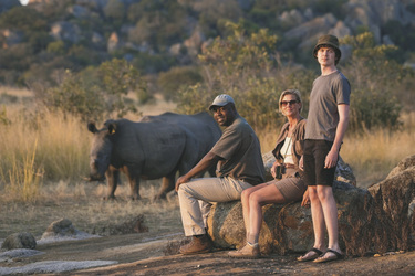 Rhino Tracking Matopo Nationalpark