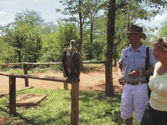 Besuch des Victoria Wildlife Trust