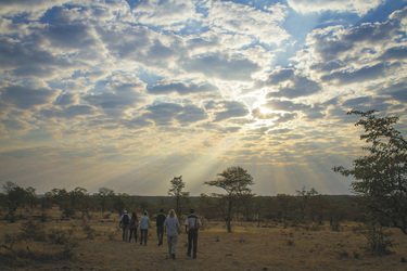 Buschwanderung in der privaten Konzession