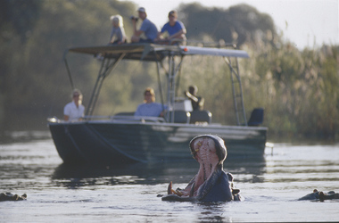 Bootsfahrt auf dem Zambezi